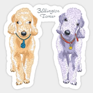 Two dogs Bedlington Sticker